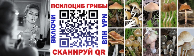 Псилоцибиновые грибы мицелий  цены наркотик  Ейск 
